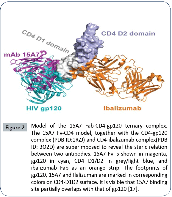 hiv-ternary-complex